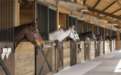 Planning and Building an Equestrian Facility