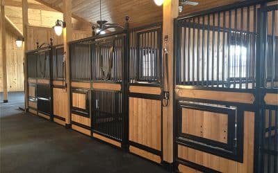 Bamboo Horse Stable UK: 252% More Sustainable