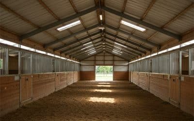 Effective Ridge Vent Design for Horse Stable Airflow