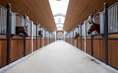 Ridge Vent Design for Horse Stable Ventilation