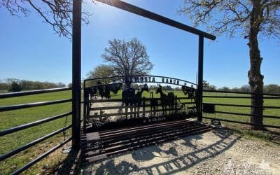 Best Farm Gate and Entrance Ideas for US & Australian Properties