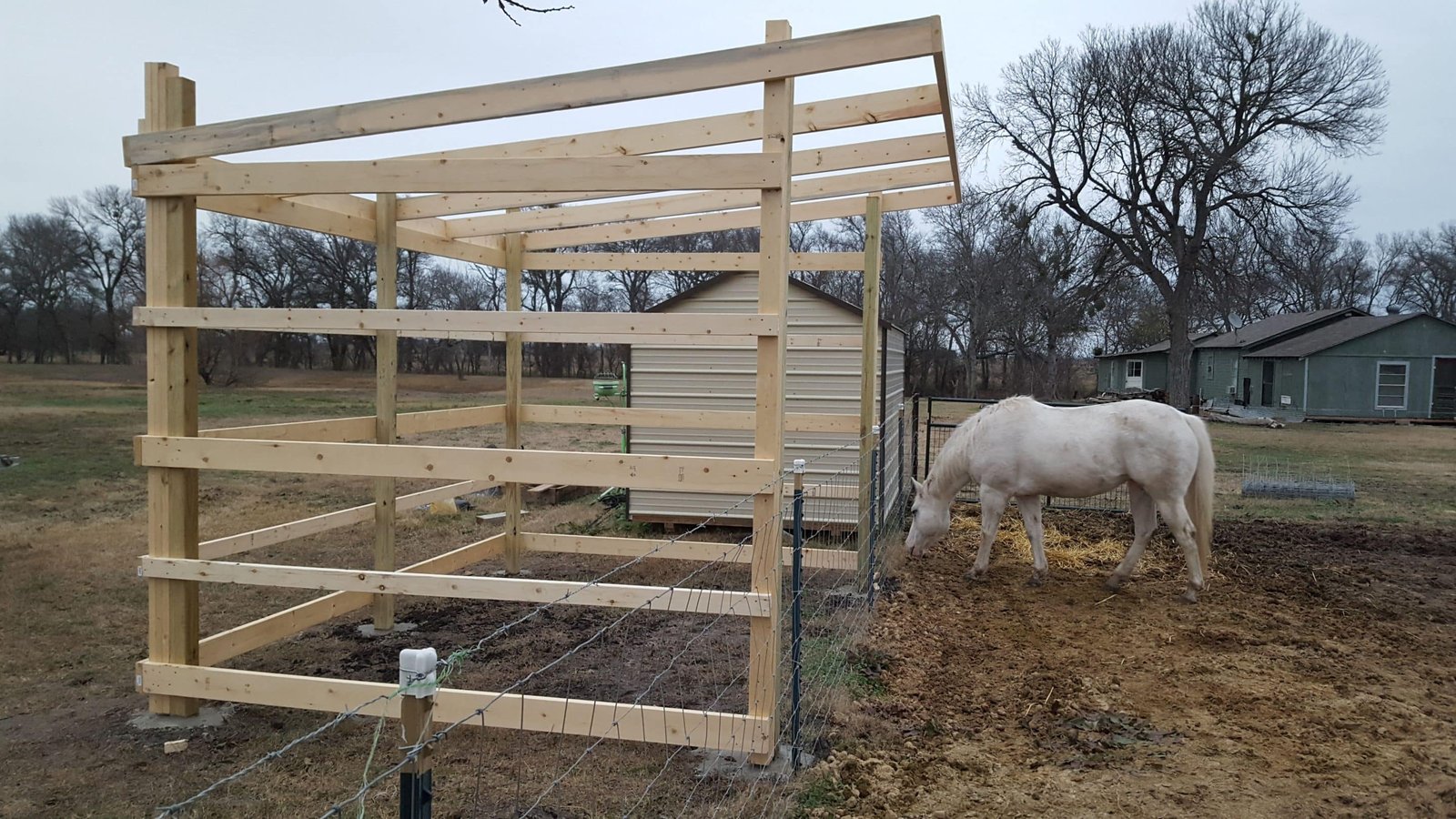 How to Build a Basic Horse Shelter An Australian DIY Guide