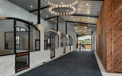 How to Future-Proof Your Horse Stable Design