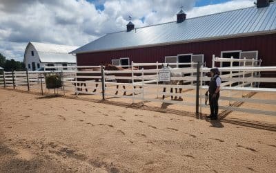 How to Set Up a Safe and Effective Horse Corral