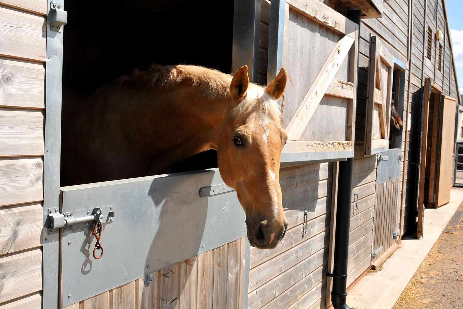 How to Set Up a Safe and Effective Horse Corral
