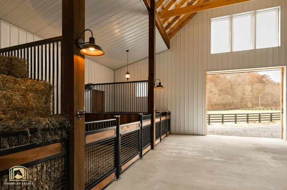 Choosing Interior Horse Stable Wall Materials