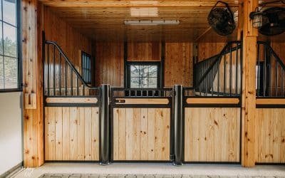 Essential Safety Features Every Horse Stable Must Have