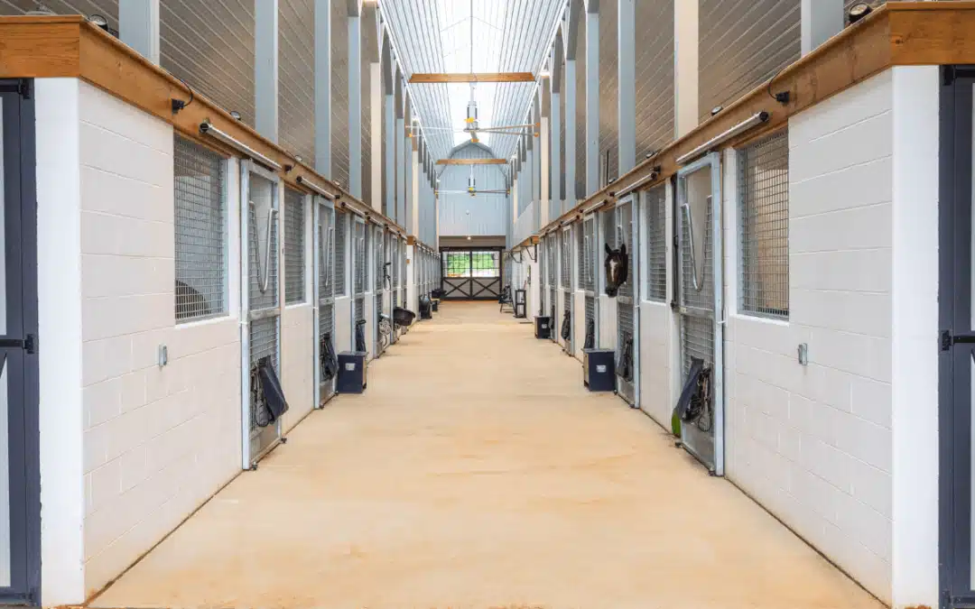 Choosing Interior Horse Stable Wall Materials: Safety & Durability