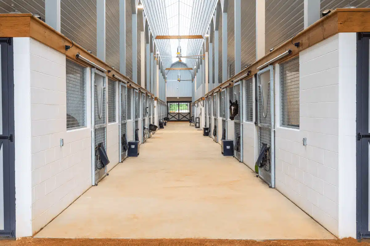 Choosing Interior Horse Stable Wall Materials