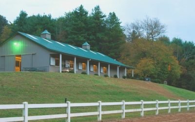 Choosing the Best Roofing Material for Your Horse Stable