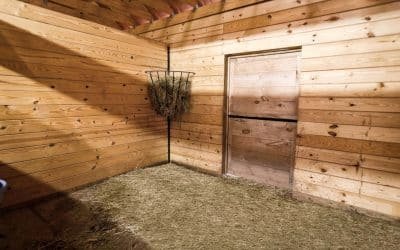 Choosing the Right Wood for Horse Stable Construction