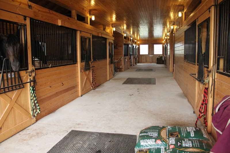 Choosing the Right Wood for Horse Stable Construction
