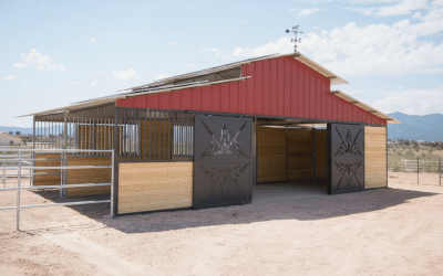 Freight Forwarder vs. NVOCC: Who Should Handle Your Stables?