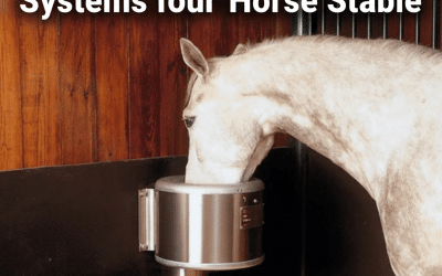 Designing Efficient Water Systems for Your Horse Stable