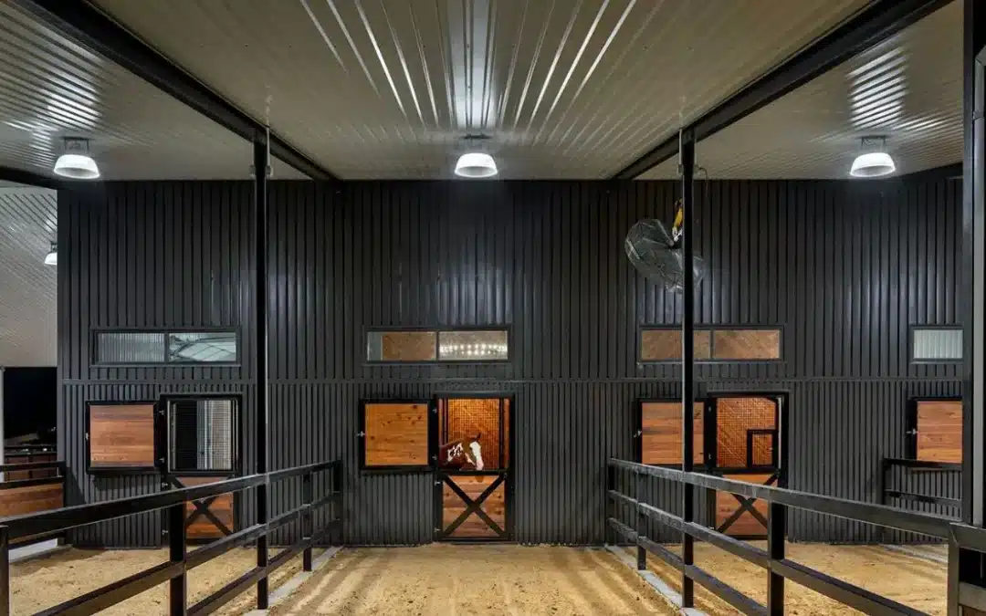 Mise en œuvre de mesures de biosécurité dans les écuries en France