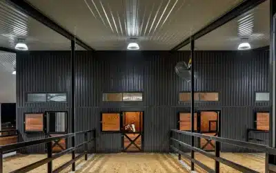 Designing Safe & Effective Horse Stable Lighting in New Zealand