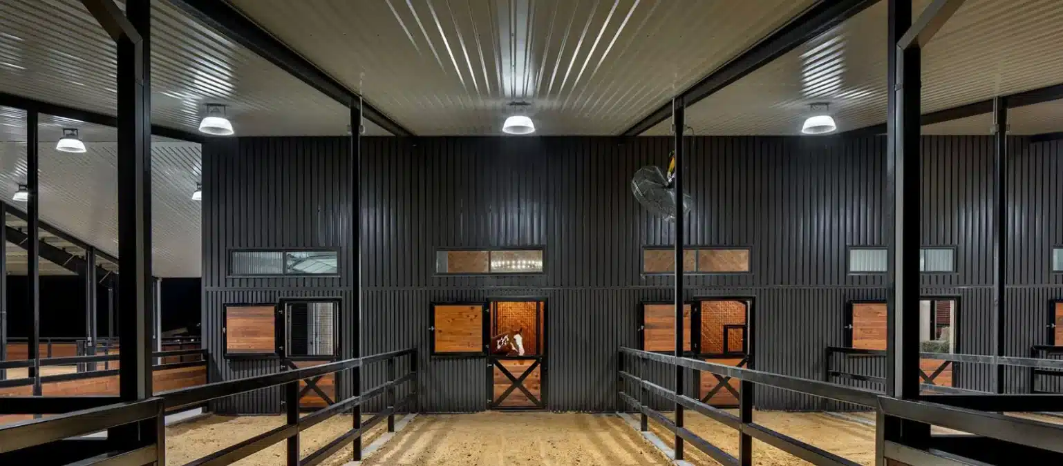 Designing Safe & Effective Horse Stable Lighting in New Zealand