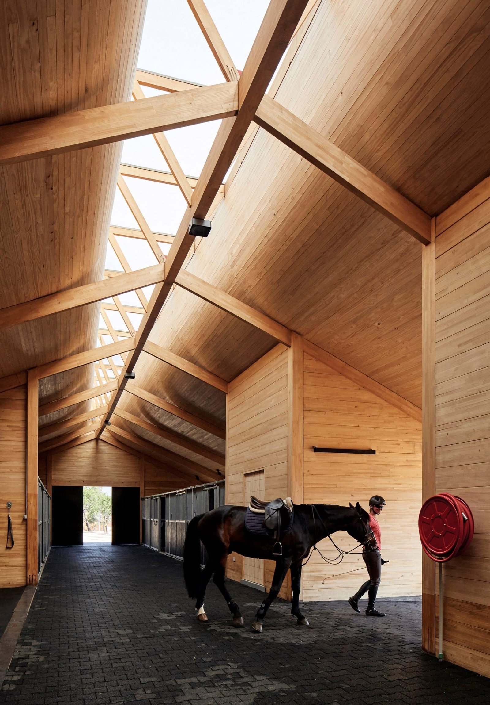 Designing Safe & Effective Horse Stable Lighting in New Zealand