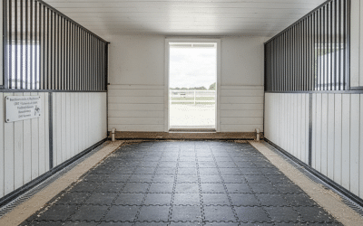 German Standards for Horse Stable Flooring & Drainage Systems