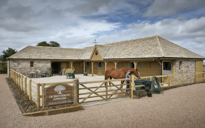 Top 13 Scams to Avoid When Importing Horse Stables from China