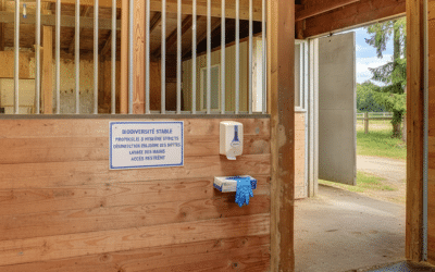 Designing Fire-Resistant Horse Stables in Bushfire-Prone Australia