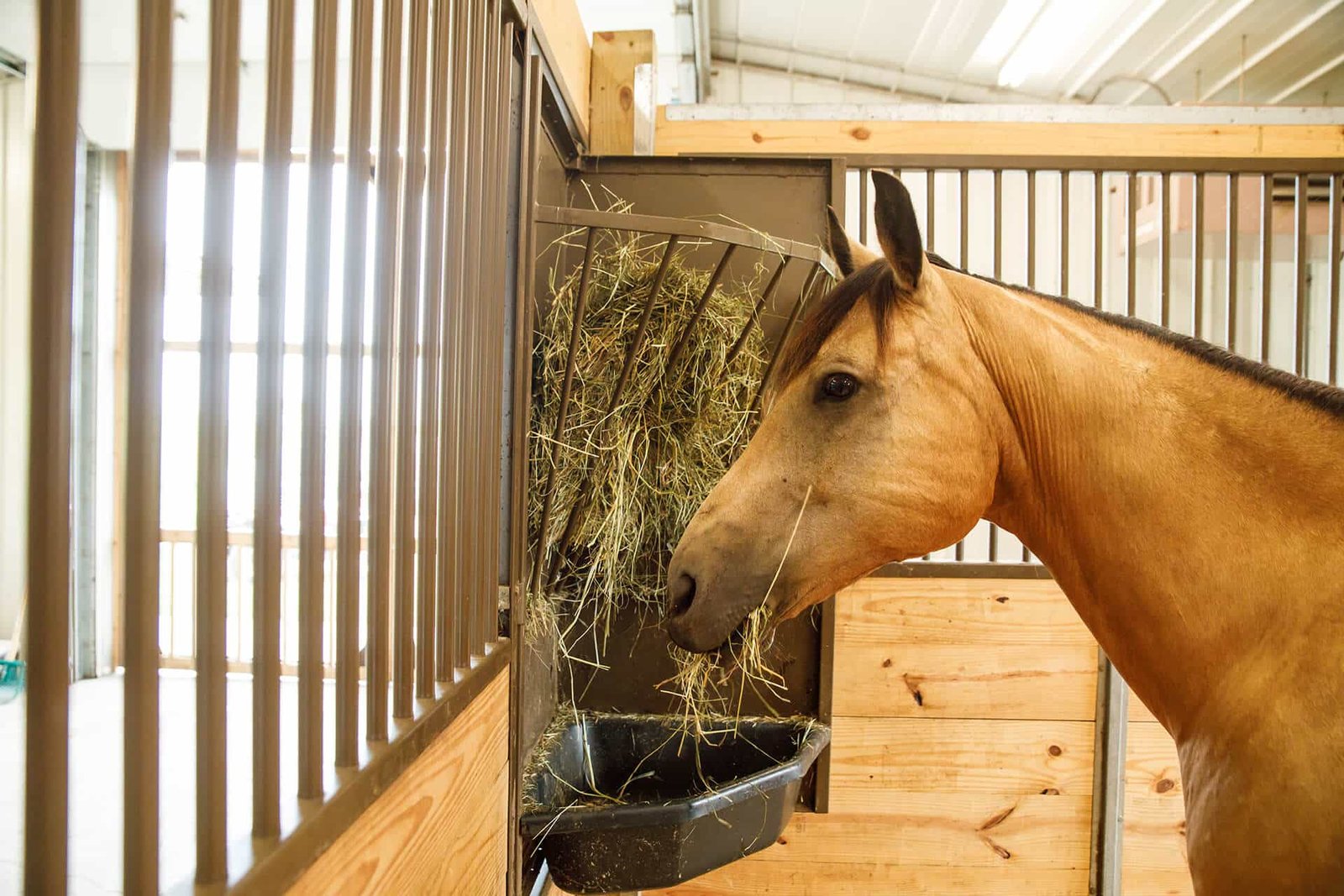 Installing Durable Kick Boards in Your Horse Stable Stalls
