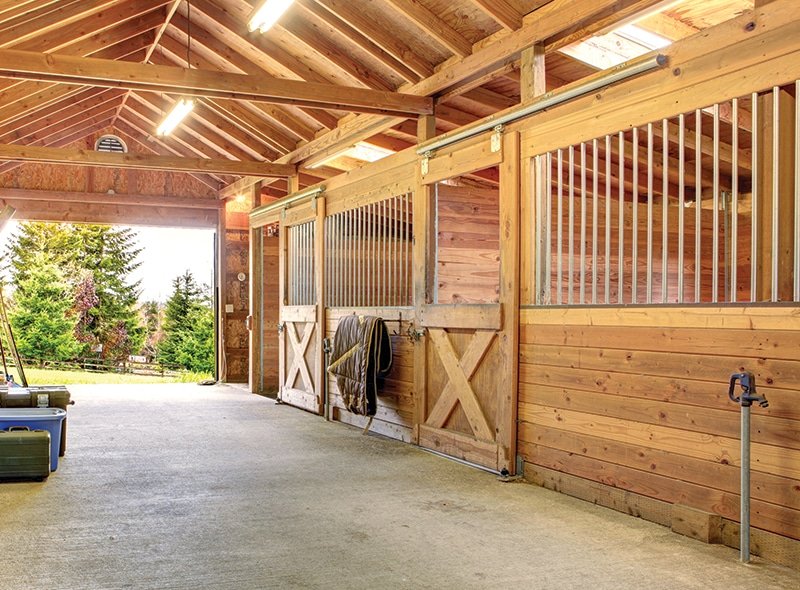 Installing Durable Kick Boards in Your Horse Stable Stalls