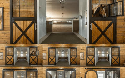 Top 10 Horse Stable Door Designs (Dutch Doors, Sliding Doors)
