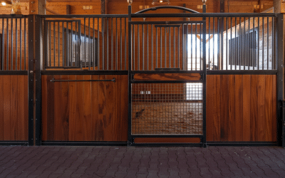 Essential Lighting Fixtures for a Safe & Functional Horse Stable