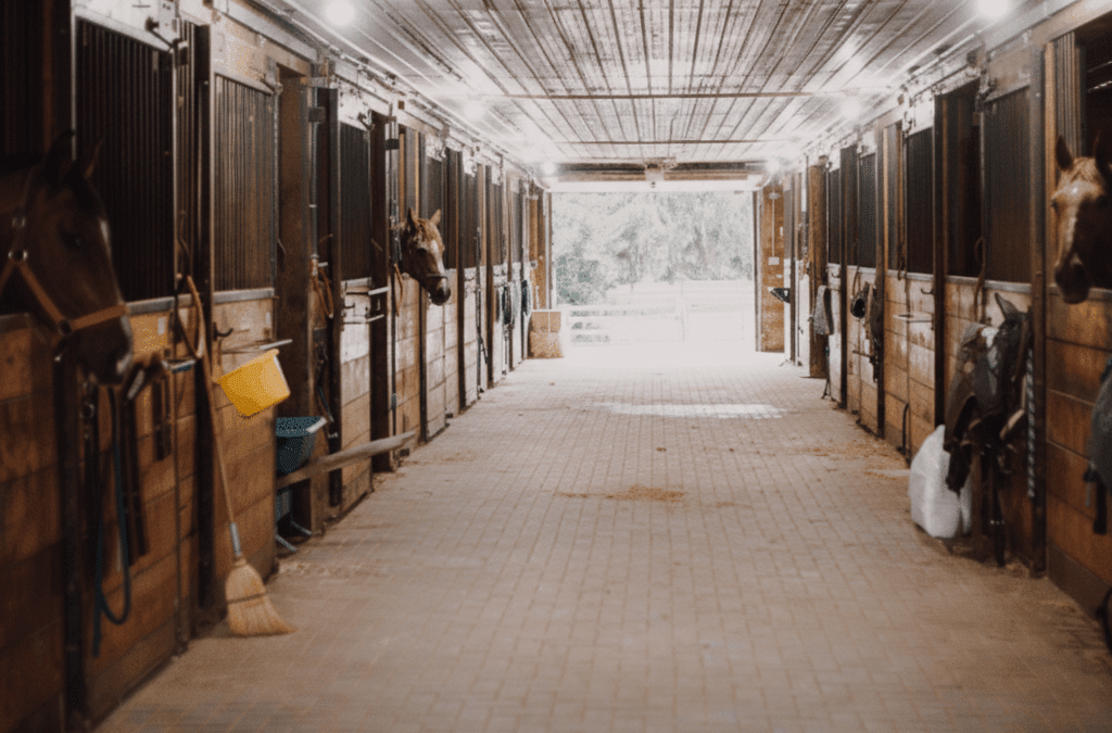 Top 10 Horse Stable Kits for DIY Assembly