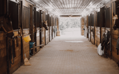 Top 10 Horse Stable Kits for DIY Assembly