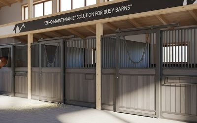 Custom Horse Barn Builders vs Prefab Kits: Save 50%