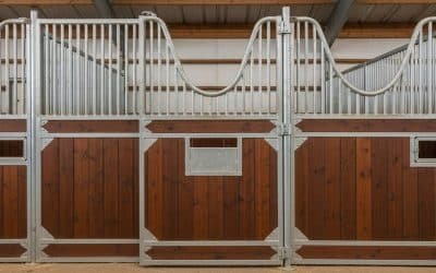 Horse Stall Fronts vs. Full Stalls: Which is Right for Your Renovation?