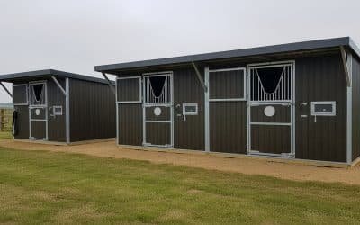 Dry Van vs. Flatbed: Which Truck Should Deliver Your Stables?