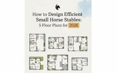 How to Design Efficient Small Horse Stables: 5 Floor Plans for 2026
