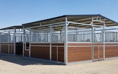 How to Set Up 20 Portable Horse Stalls in Under 6 Hours