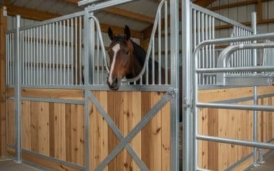 How to Install New Stall Fronts in an Existing Barn (DIY Guide)