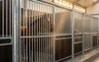 Tooth Damage: Why Galvanized Horse Stalls Beat Powder Coat for Cribbers