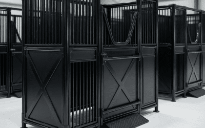 Top White-Label (OEM) Stable Factories for Global Distributors