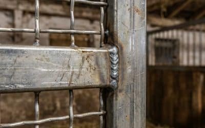50-Stall Prefab Horse Stable Cuts Costs 20% in Australia